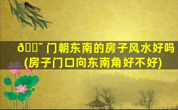 🐯 门朝东南的房子风水好吗(房子门口向东南角好不好)